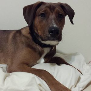 Meet your Posher, Matthew